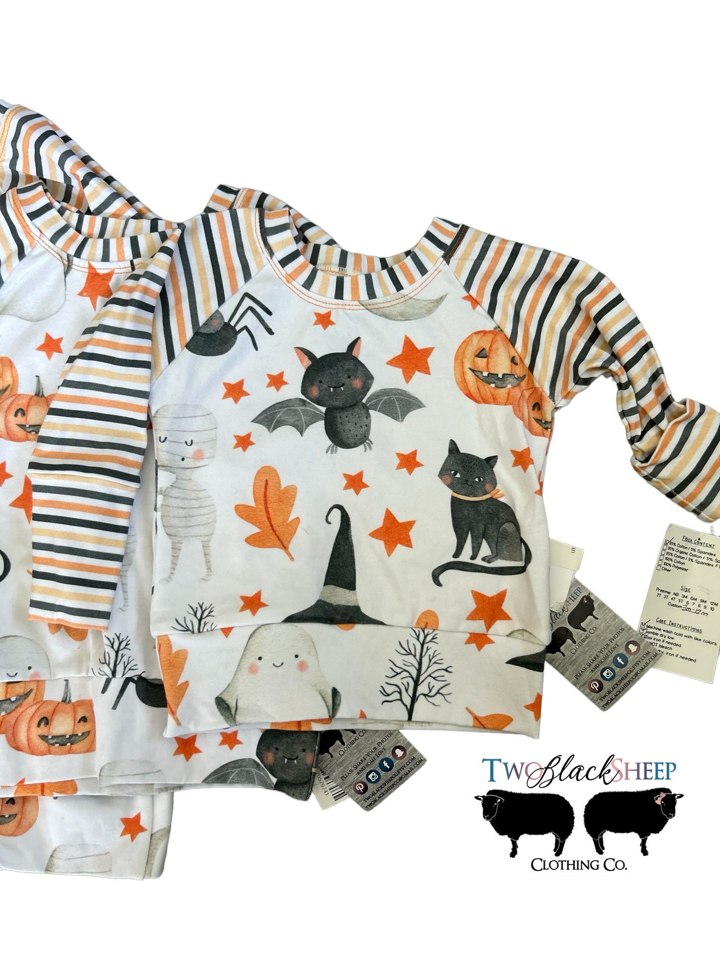 Spooky Friend Raglan